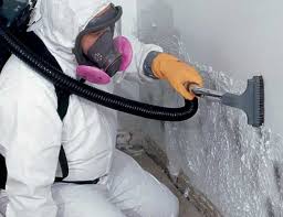 Professional Mold Removal in Booneville, MS